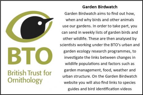 Garden birdwatch card5